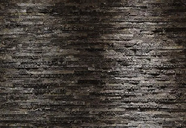 Birkenrinde Adhesive Wall Mural